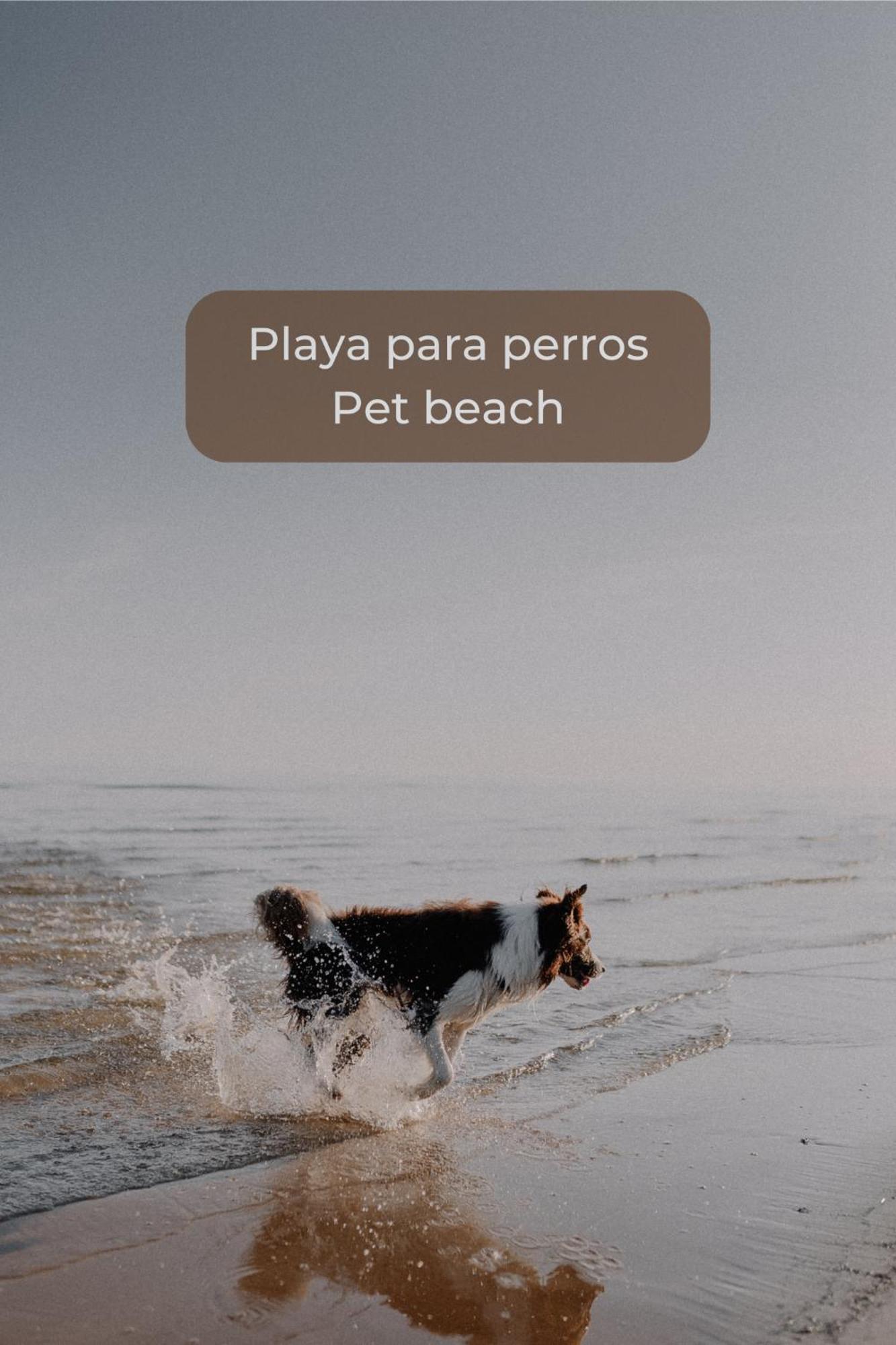 Canelita Con Piscina, Soleada Terraza Amplia Wifi Y Parking Corralejo Exteriör bild